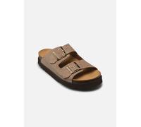 Mules et sabots Scholl BEATRIZ COLLECTION pour Femme 35 Beige