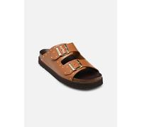 Scholl Femme Beatriz, Cognac, 36 EU