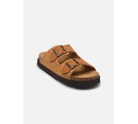 Mules et sabots Scholl BEATRIZ COLLECTION pour Femme 37 Marron