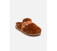 Mules et sabots Scholl IVY BIG BUCKLE COLLECTION pour 39 Marron