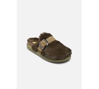Mules et sabots Scholl IVY BIG BUCKLE COLLECTION pour Femme 39 Vert