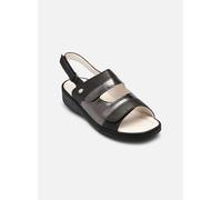 Mules et sabots Scholl MARINELLA SANDAL COMFORT pour Femme 36 Noir