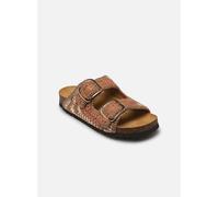Mules et sabots Scholl NOELLE COLLECTION pour Femme 35 Multicolore