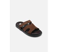 Mules et sabots Steve Madden Missile pour Femme 41 Marron