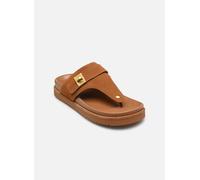 Mules et sabots Steve Madden Tuned-IN pour Femme 40 Marron