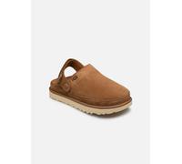 Mules et sabots UGG W Goldenstar Clog pour Femme 42 Marron