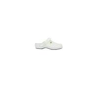 Mules Scholl 37
