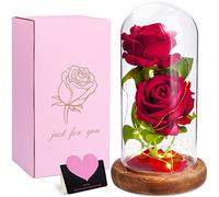 MULEVIP Rose Eternelle sous Cloche, La Belle et la Bête, Fleur avec Lumière LED, Abat-Jour en Verre, Décor Mariage Maison, Cadeau pour Maman/Femme/Mère/Mamie/Petite Amie