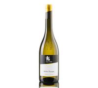 MULLER THURGAU Alto Adige 2023 KELLEREI KALTERN 2023 Kaltern
