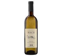 MULLER THURGAU Trentino DOC 2023 Fondazione E. Mach