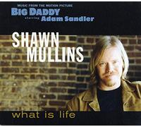 Mullins, Shawn - What is Life [Import]
