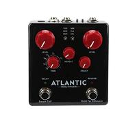 Multi Delay Reverb Pedal Effet Guitare Métal Noir, 3 Types de Réverbérations - Contrôle Audio Précis, Entrée/Sortie Stéréo, Chaîne d’Effets Optimale