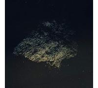 Multicast Dynamics - Lost World