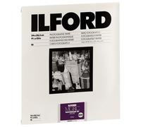 ILFORD Papier Multigrade V 24x30.5cm 10 Feuilles 44M Perlé