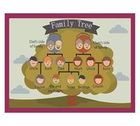 Multilingual Family Tree Educational Poster - My Family Chart for Kids, Learn Relationships in English & Spanish | Wall Decor for Preschool, Kindergarten, Playroom(Framed,16x24inch(40x60cm))