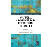 Multimodal Communication In Intercultural Interaction