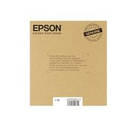 MULTIPACK T1806 PAQUERETTES