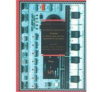 Multiple Meaning Techno Jean-Luc Nancy, Michel Maffesoli (Auteur)