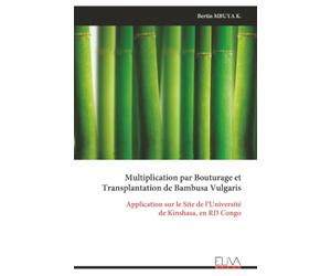 Multiplication par Bouturage et Transplantation de Bambusa Vulgaris: Application sur le Site de l’Université de Kinshasa, en RD Congo