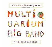 MULTIQUARIUM BIG BAN - REMEMBERING JACO - Vinyl Record 12 RECORD - G3z