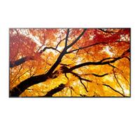 NEC Écran grand format MultiSync M752 75" 4K UHD 3840×2160 HDR 550 cd/m²