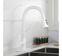 Multitask Mode Single Handle High Arc Out Sink Faucet, Kitchen Faucets with Pull Down Sprayer, for Farmhouse RV Utility Bar Laundry Sinks