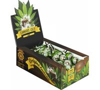 Multitrance Sucettes Au Haschisch De Cannabis - Carton De Présentation (70 Sucettes), 1 260 G