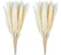 Mumusuki 30PCS Décoration de Panaches d'herbe de Pampa Séchée, Fleur de Roseau Simulée DIY Boho Bouquet de Fleurs Sèches pour Mariage, Maison, Noël, Festivals, Anniversaire