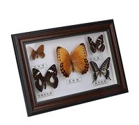 Mumusuki Papillons exquis insecte specimen artisanat veritable encadre d'anniversaire decoration ornement(Cadre noir)