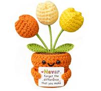 MuMyer Fleur de tulipe positive au crochet, faite à la main, soutien émotionnel tricoté, cadeau inspirant pour femme - Merci, appréciation, cadeau positif pour enseignante, maman, amie, collègue de