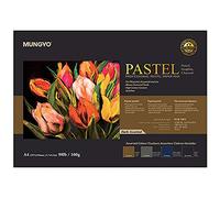 MUNGYO Lot de 30 feuilles de papier pastel professionnel A4 pour pastels à l'huile, pastel sec (assortiment foncé)