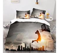 MUNOOR Housse de Couette 220x240 Basket-Ball Parure de Lit 2 Personnes Adultes Imprimé 3D Coucher De Soleil Sport Microfibre Ensemble de Literie avec Fermeture Éclair et 2 Taies d'oreiller 50x75
