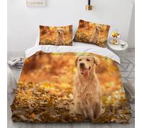 MUNOOR Housse de Couette 220x240 Golden Retriever Parure de Lit 2 Personnes Adultes Imprimé 3D Animal Microfibre Ensemble de Literie avec Fermeture Éclair et 2 Taies d'oreiller 50x75