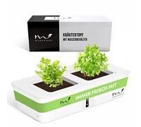 MUNROOMY Pot à herbes - Serre d'intérieur avec système d'irrigation - Jardin d'herbes aromatiques d'intérieur auto-arrosant pour basilic et autres - Pour rebord de fenêtre et cuisine