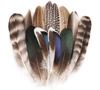 Muorruo 12 pièces Plumes Naturelles de Faisan, Plumes en 6 Styles différents pour travaux de Bricolage tels Que Chapeaux, Arrangements Floraux, Halloween, Carnaval, capteurs de rêves et décorations