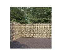 Mur à gabion avec couvercles Acier galvanisé 900x50x200 cm