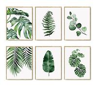 Mur Botanique Vert Impression Artistique Lot de 6 Impression Sur Toile Estampes Botaniques Décor à la Maison Naturel Affiches d'art de Salle de Bain 11"x14" (27.9x35.6cm) SANS CADRE