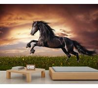 Mur de Muraille Majestic Black Horse Rearing Under Sunset Sky - Arrière-plan équestre dramatique pour la décoration du salon 280x200cm (Non autocollant)