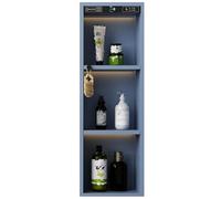 Mur de salle de bain en acier inoxydable avec lumières LED - Étagère encastrée pour shampooing et savon, solution de rangement murale élégante, décoration d'intérieur moderne
