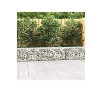 Mur en gabion avec couvercles Acier galvanisé 300 x 50 x 50 cm