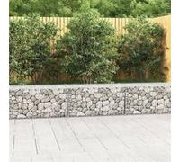 Mur en gabion avec couvercles Acier galvanisé 300 x 50 x 50 cm Argenté G