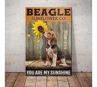 Mur Étain Panneau Beagle Dog Funny Sunflower Co. Tu ES Mon Rayon De Soleil Tin Signs Vintage Metal Sign Drôle Métal Étain Signe pour Cuisine Café Garage 20X30CM