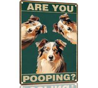 Mur Étain Panneau Berger Australien, Êtes-Vous en Train De Faire Caca ? Chien Amoureux des Chiens Art Drôle De Chiens Art Rétro Tin Signs Unique Affiche Vintage Métal Étain Signe pour Chambre S