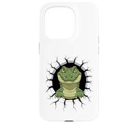 Mur Fissuré Alligator Gator Alligators Coque pour iPhone 15 Pro