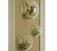 Mur Mouted Fleur Vase Verre Terrarium Kit De 3 Bulles Hagig Plater Petit Aquarium à Placig Air Plat Succulet Cactus Greeery pour Idoor Extérieur Livig Room Decor, Clear, Style 1
