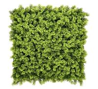 Mur Végétal Artificiel Intérieur Haie Artificielle Panneaux Muraux Toile de Fond Houttuynia cordata, 50 x 50 cm