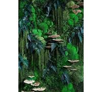 Mur Végétal Intérieur "Champignon" Personnalisable - Kit DIY Facile avec Plantes Stabilisées Naturelles Sans Entretien - Décoration Murale Durable pour Salon, Bureau - Fabriqué en France 1m²/ kit