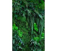 Mur Végétal Intérieur Personnalisable - Kit DIY Facile avec Plantes Stabilisées Naturelles Sans Entretien - Décoration Murale Durable et Unique pour Salon, Bureau - Fabriqué en France 1m²/ kit