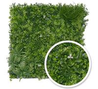 Mur végétal Liseron : 1m x1m