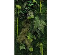 Mur Végétal stabilisé Intérieur JUNGLE Personnalisable - Kit DIY Facile avec Plantes Stabilisées Naturelles Sans Entretien - Décoration Murale Durable et Unique pour Salon, Bureau - Fabriqué en France